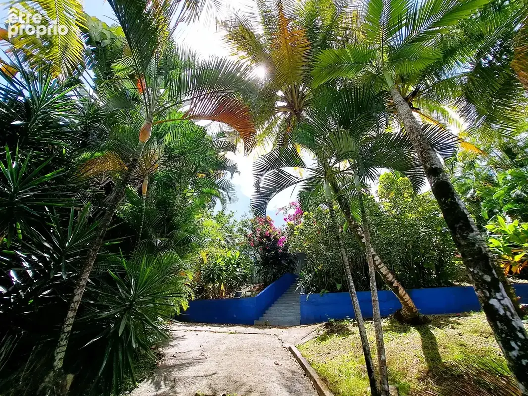 TROIS-ILETS : Villa créole T4 + Piscine - photo 15