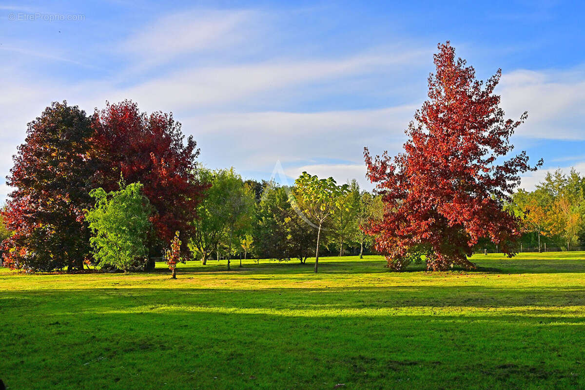 Terrain à LES SABLES-D&#039;OLONNE