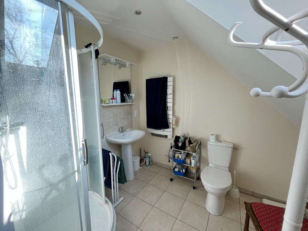 Belle propriété bourguignonne et son jardin de 1150 m2 à l'Est de Sens - photo 17