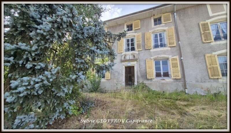 Maison à vendre 8 pièces CELLES SUR PLAINE (88) - photo 16