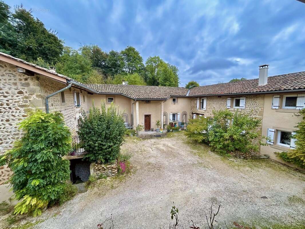 Maison 392 m² à Beausemblant  - photo 2