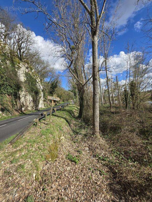Terrain à FONTGOMBAULT