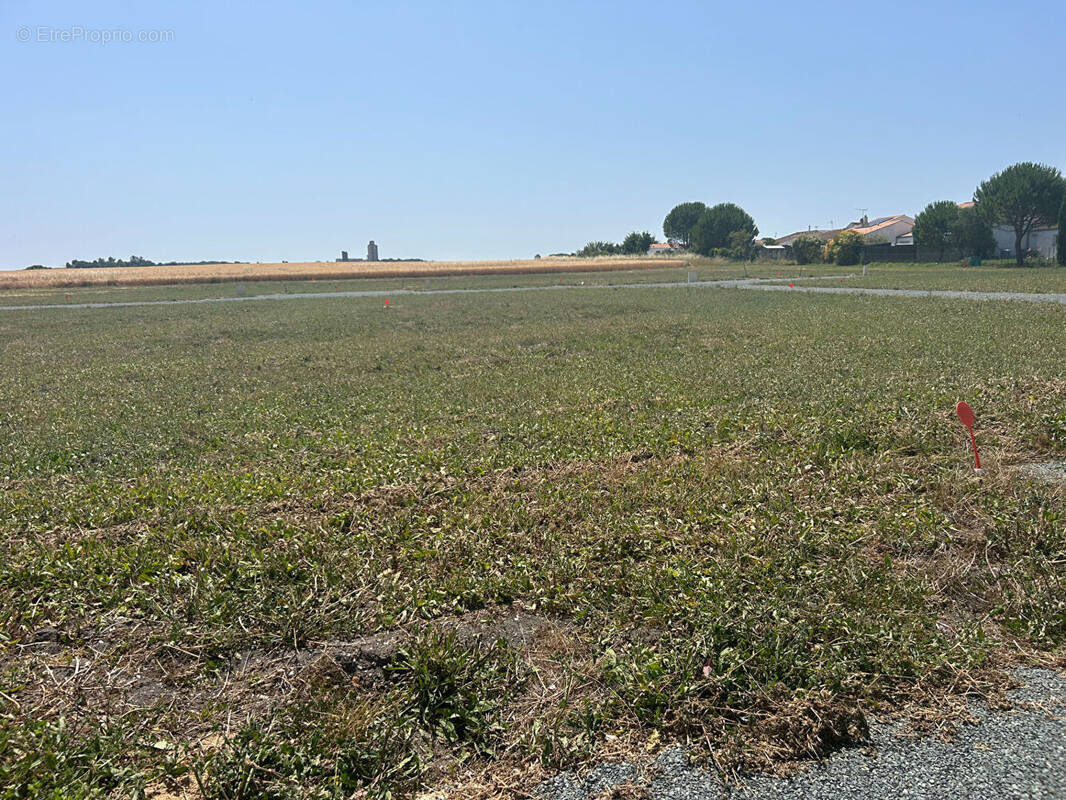 Terrain à MORNAC-SUR-SEUDRE