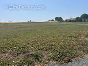 Terrain à MORNAC-SUR-SEUDRE