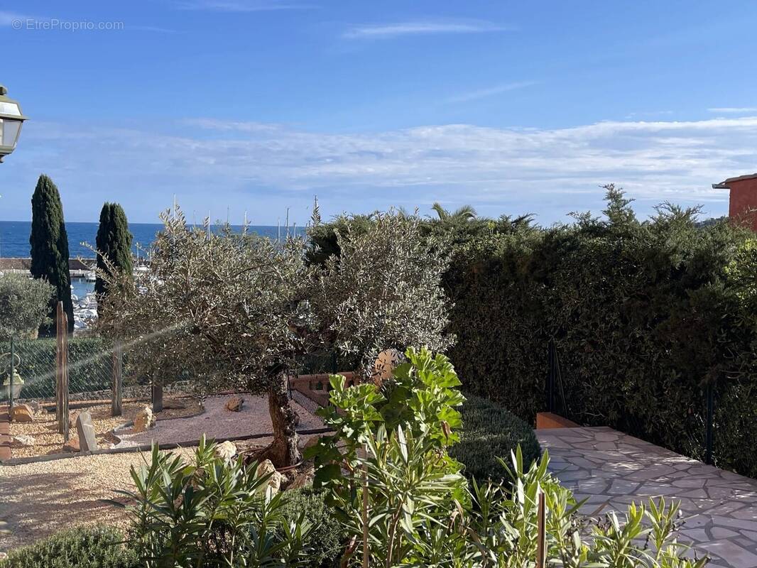 Appartement à THEOULE-SUR-MER