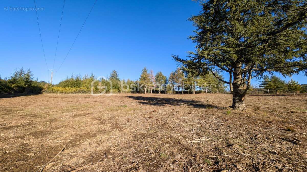 Terrain de 8 000 m² dont 3 700 m² constructibles, avec vue dégagée - photo 4