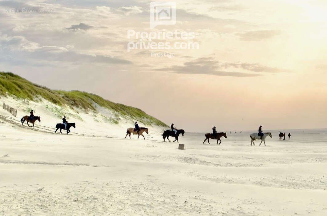 Maison à LE TOUQUET-PARIS-PLAGE