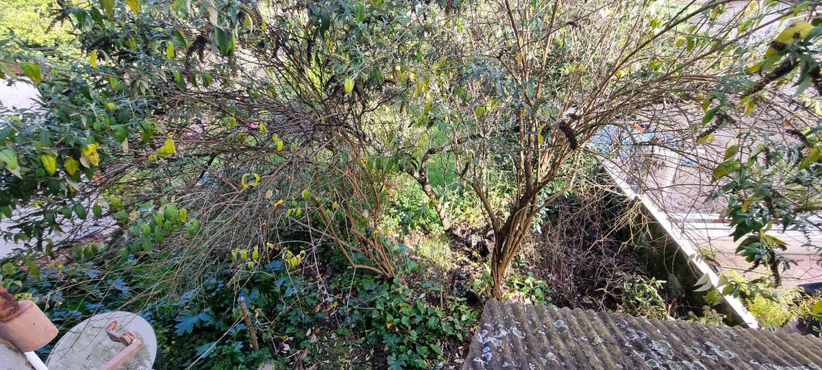 20251104_143953 - Maison à SAINT-SAUD-LACOUSSIERE