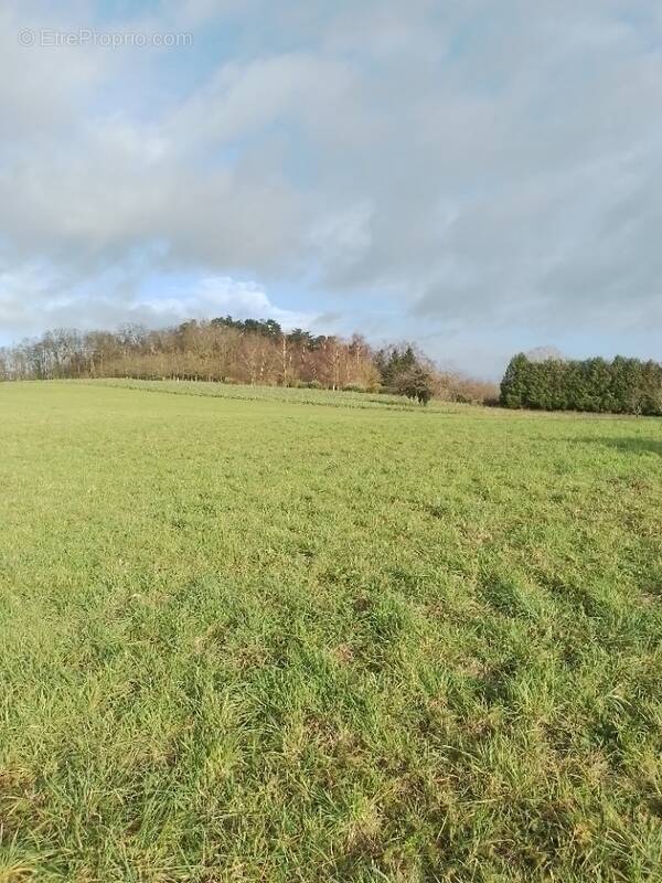 Terrain à MAREUIL-LA-MOTTE