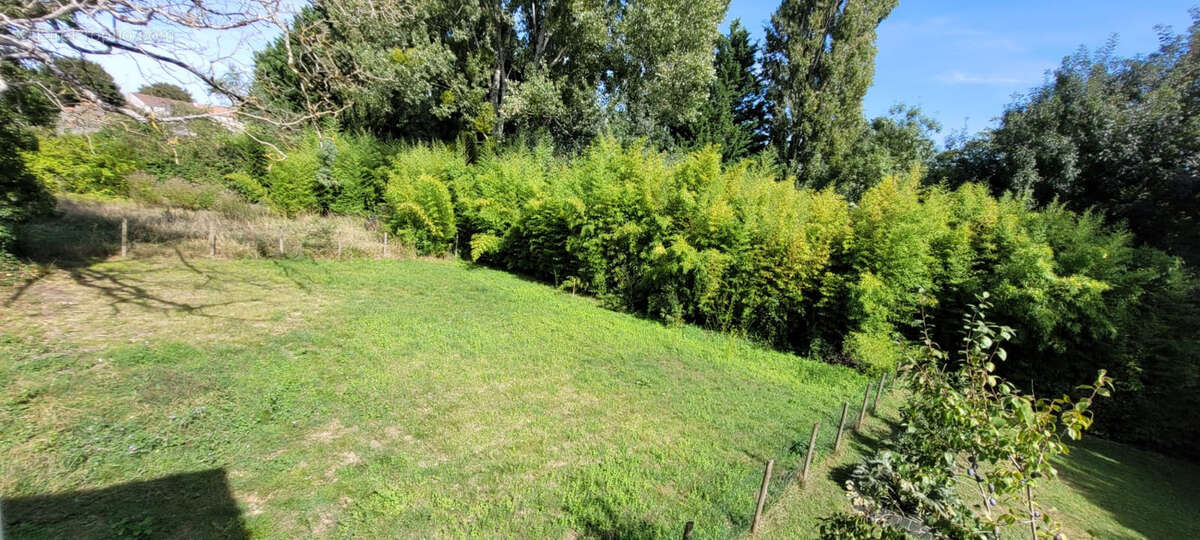 Maison à MONTPELLIER-DE-MEDILLAN