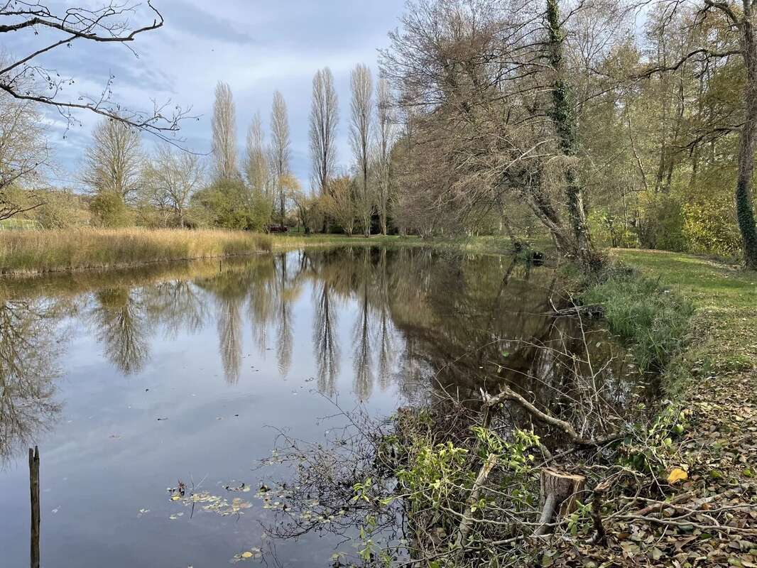 Terrain à AVRILLE-LES-PONCEAUX