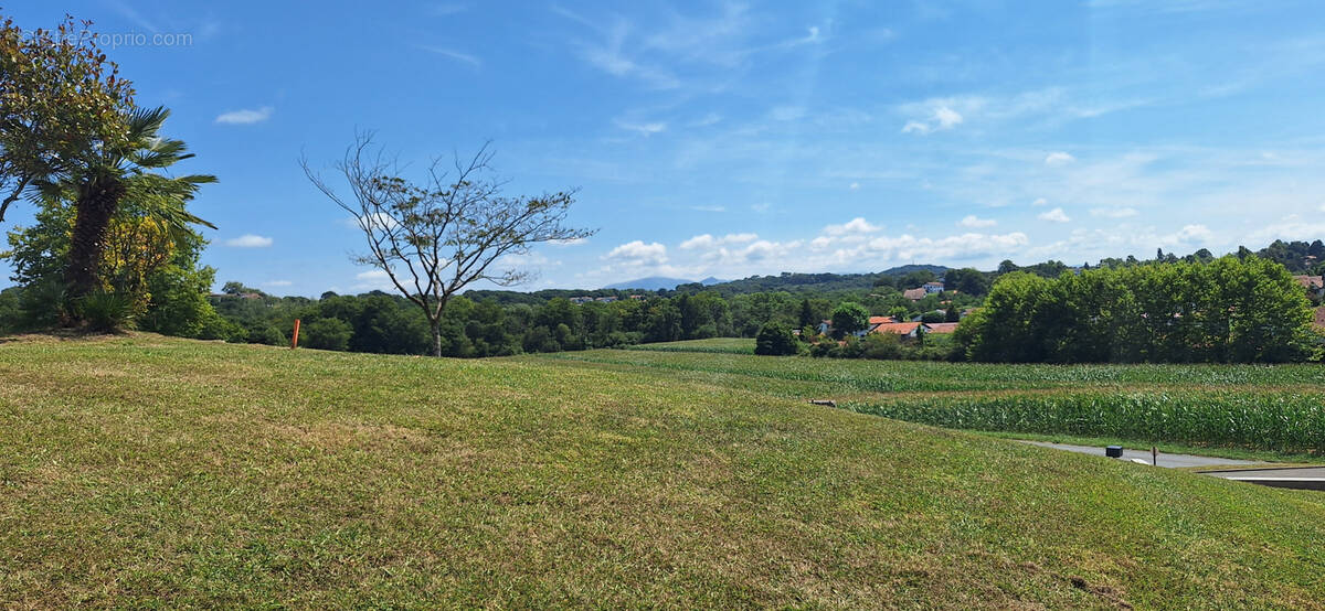 Terrain à BASSUSSARRY