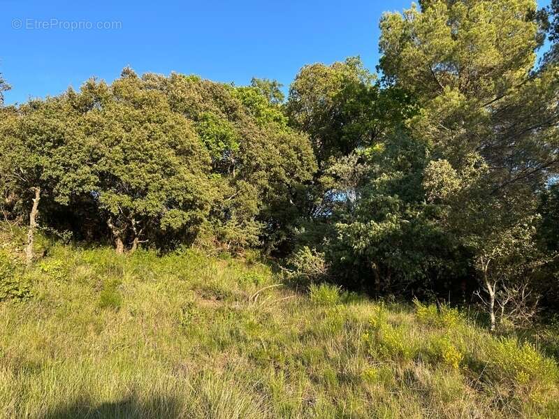 Terrain à BAUDINARD-SUR-VERDON
