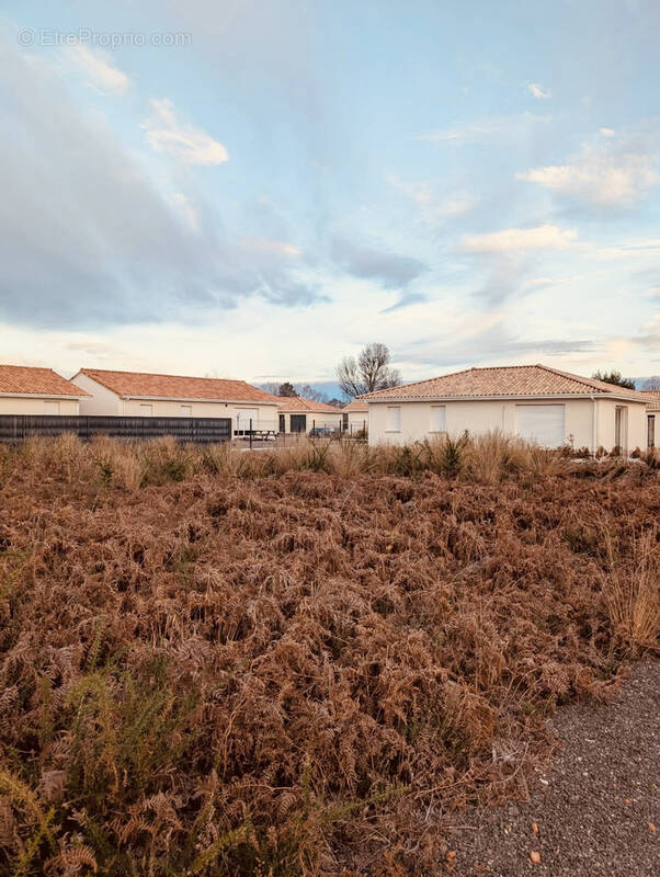 Terrain à SAINT-PAUL-EN-BORN