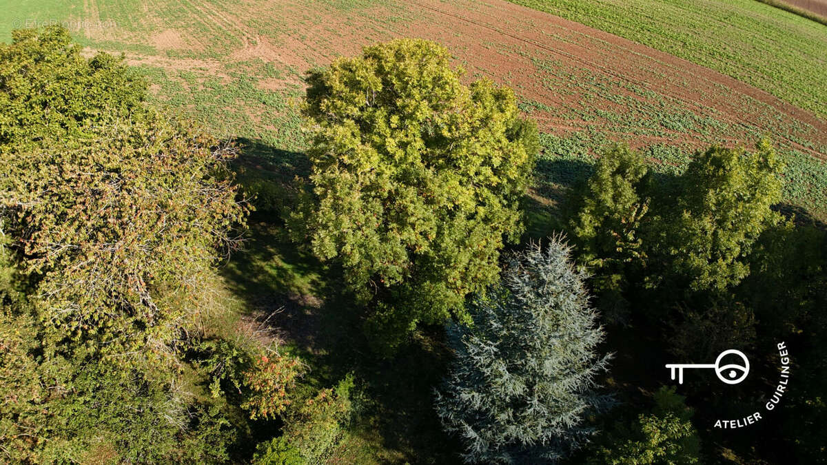 Terrain à OUZOUER-LE-MARCHE