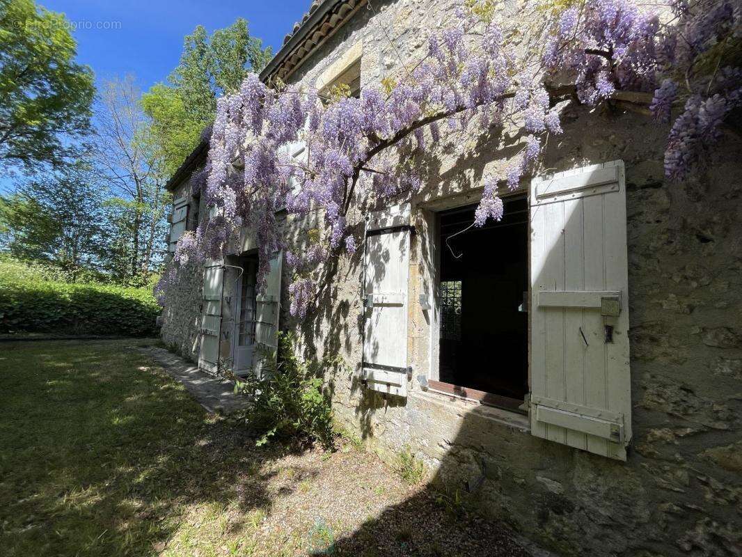 Maison 300 m² à Dolmayrac  - photo 2