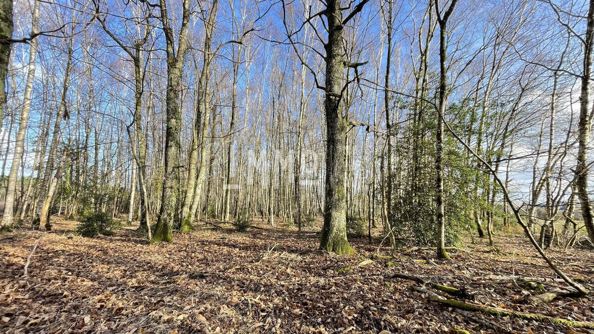 Terrain à LE GRAND-LUCE