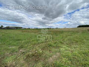 Terrain à SAINT-EPAIN
