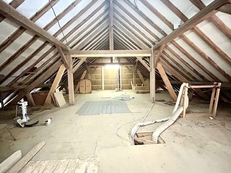 Maison de caractère à vendre 10 pièces ALBY SUR CHERAN (74) - photo 16