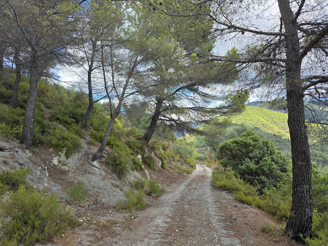 Terrain à L'ESCARENE