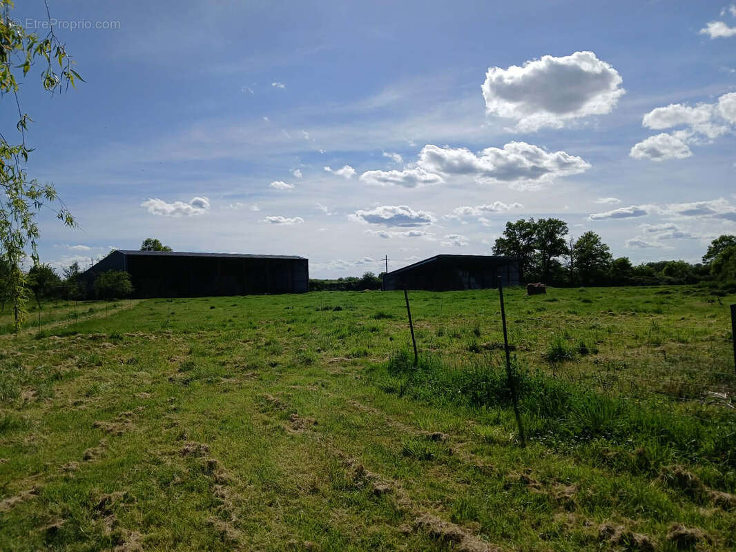 Exploitation caprine avec transformation fromagère, vente directe et maison d'habitation   19,33 ha   Indre - photo 18