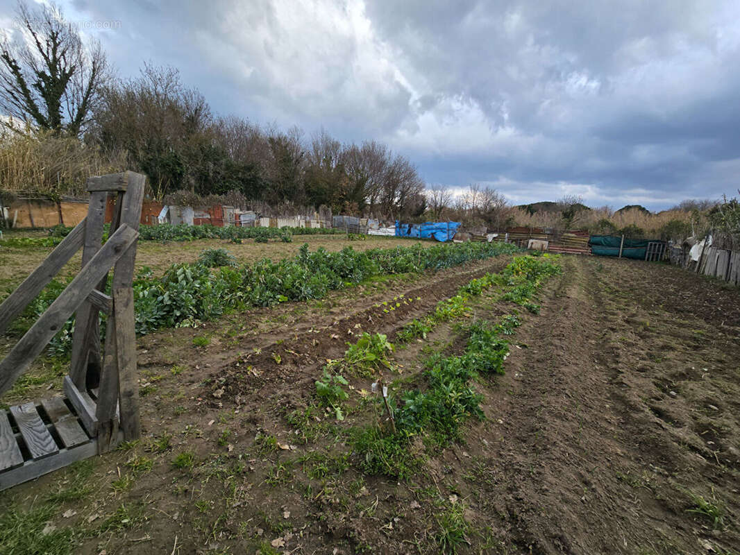 Terrain à ARGELES-SUR-MER