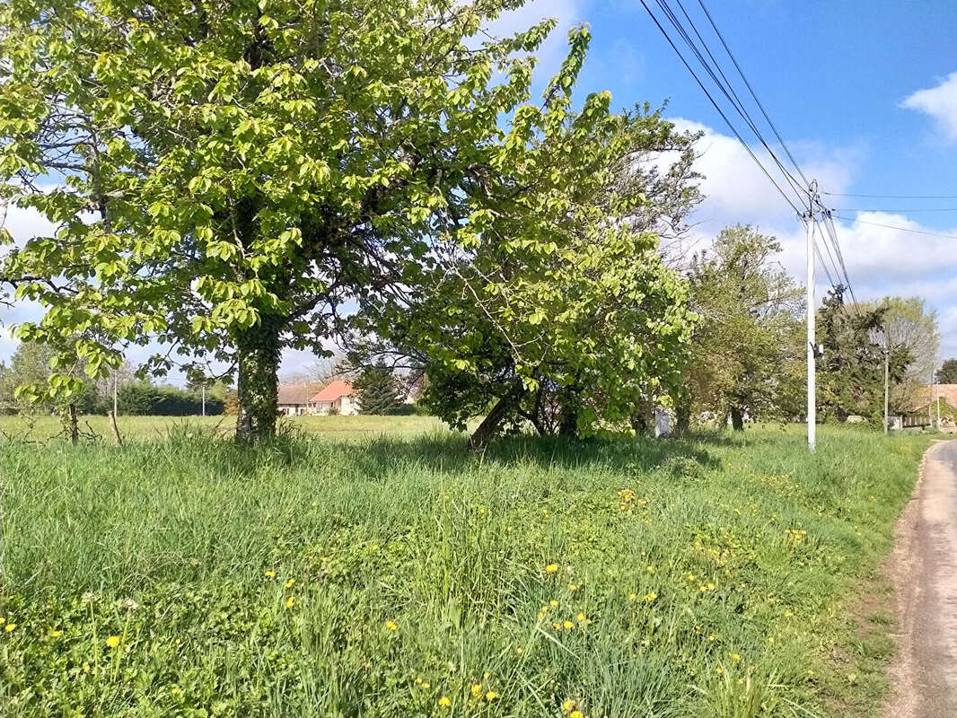 Terrain à SAINT-MAURICE-EN-RIVIERE