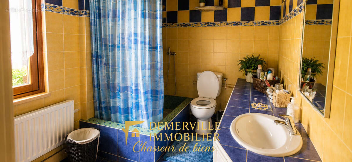 Maison 376 m² à Humbert  - photo 6