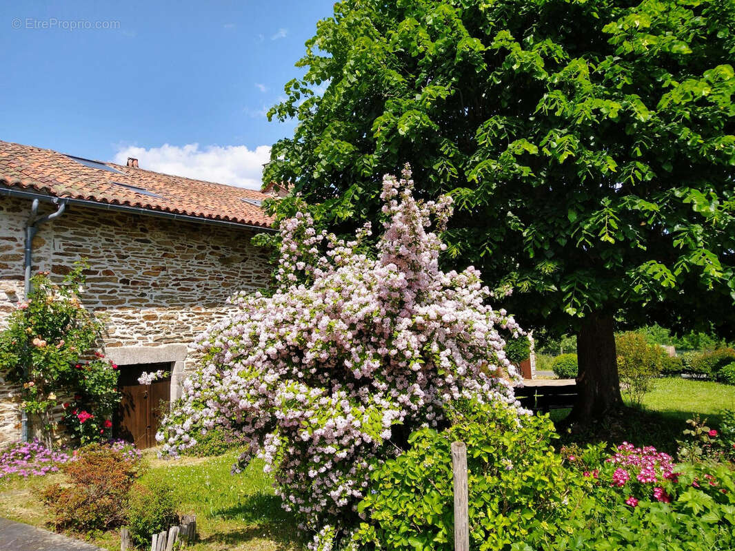 Joli ensemble immobilier à la campagne, 4 ou 5 logis, idéal résidence secondaire d'amis ! - photo 5