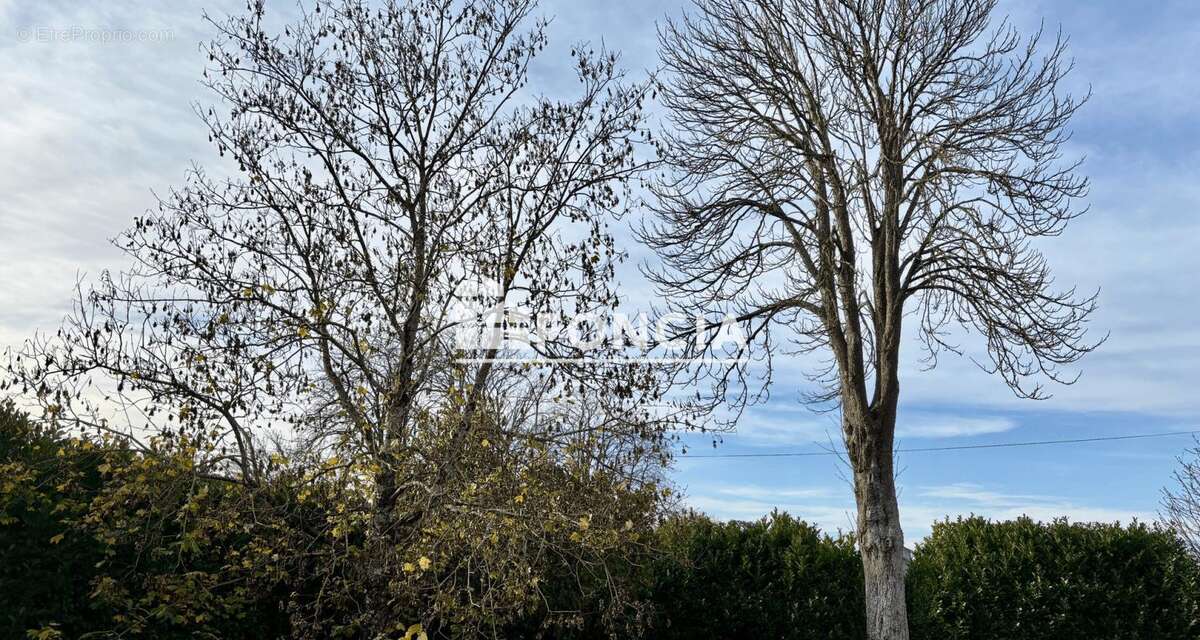 Commune de COULON proche Niort - photo 18