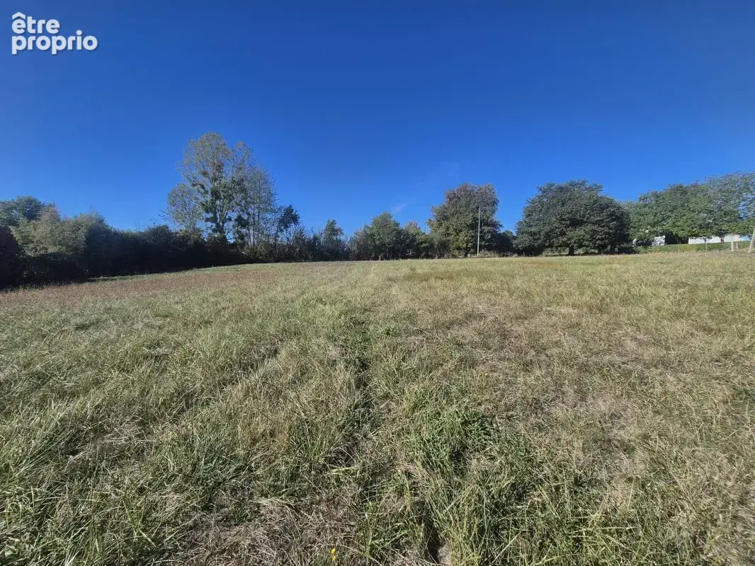 Terrain 3 998 m² à vendre à Chouzy-Sur-Cisse (41150) - photo 7