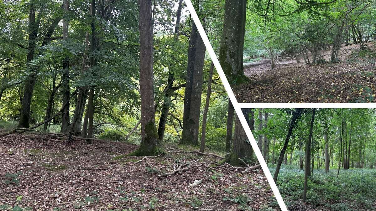 Terrain à HEUBECOURT-HARICOURT