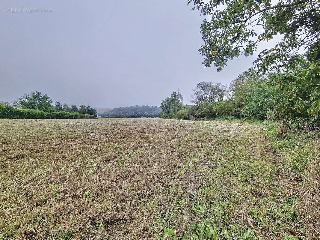 Terrain à VIEILLEVIGNE