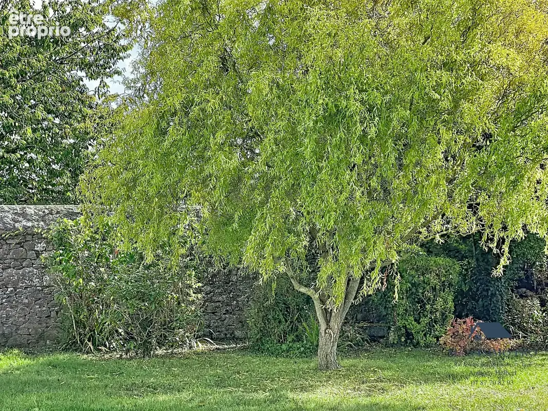 Maison 15 pièces 295 m² à vendre à Tregueux (22950) - photo 3