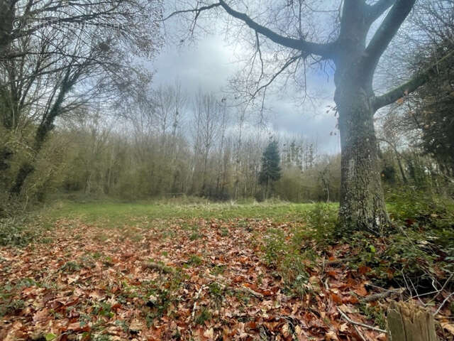 Maison à CONDE-SUR-HUISNE