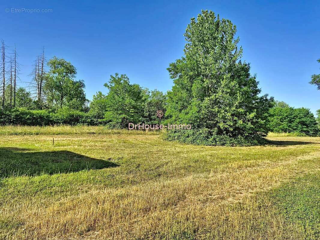 Terrain 23 052 m² à vendre à Chichery (89400) - photo 18