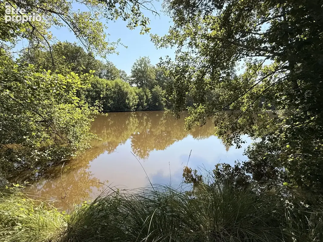 Étang privé de loisirs et de pêche avec bois proche de Montrollet - photo 3