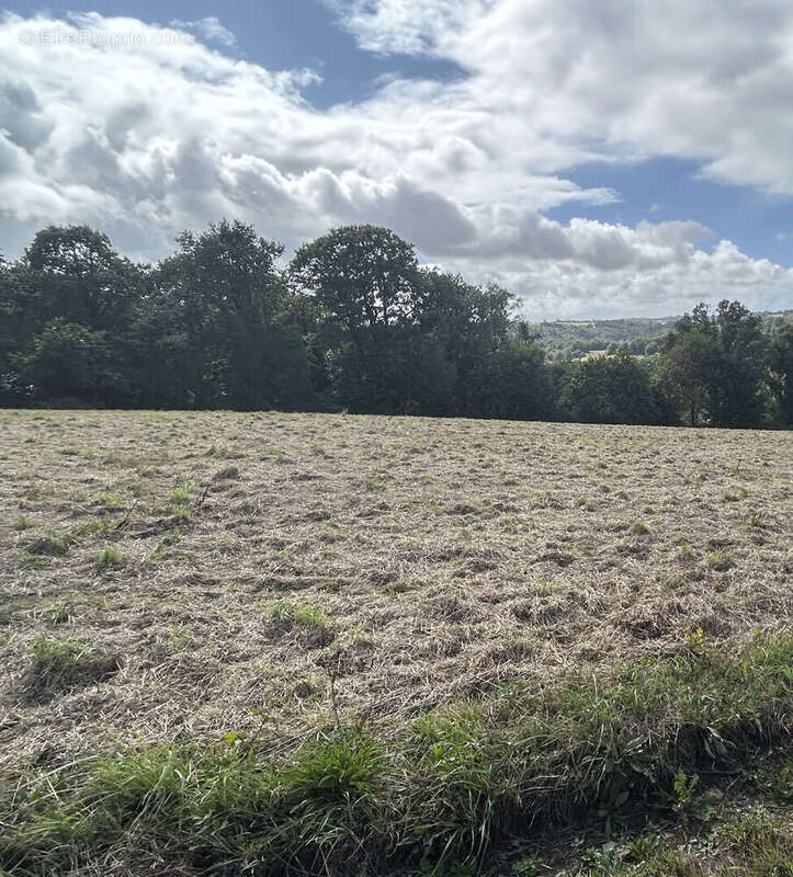 Terrain à QUIMPER