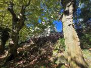 Appartement à NAVARRENX