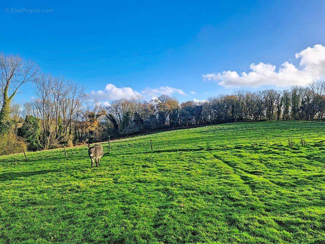 Maison à PLOUEZOC'H