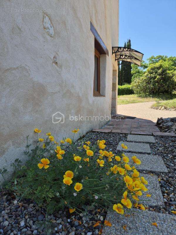Maison à BEAUMONT-DE-LOMAGNE