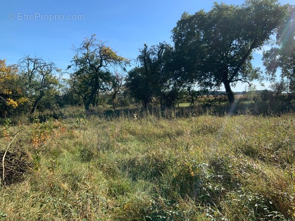 Maison à NEONS-SUR-CREUSE