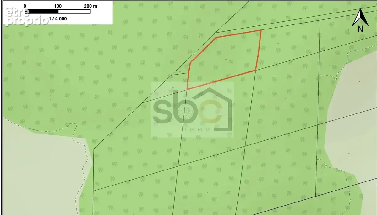Terrain agricole de 2,539 ha à Montsinéry-Tonnegrande - photo 2