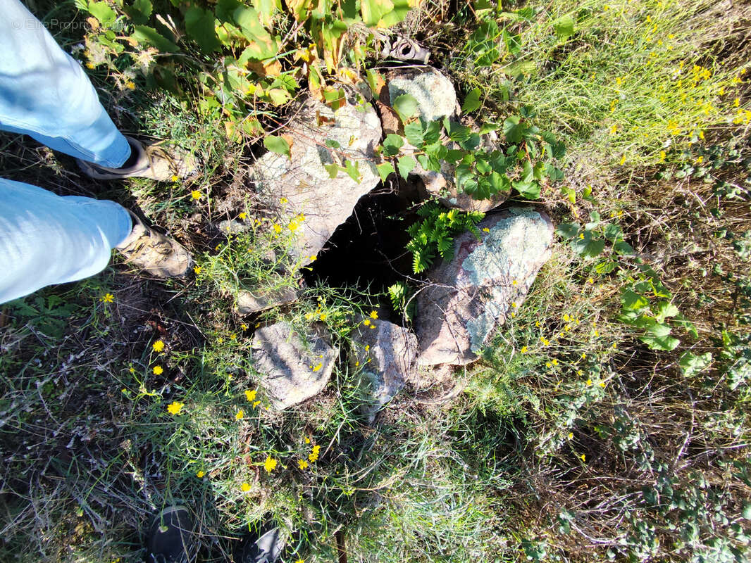 Terrain à MONTALBA-LE-CHATEAU