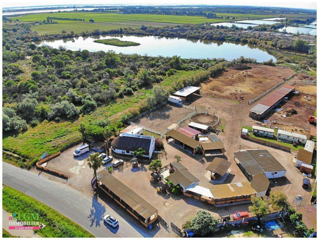 Autre à LE GRAU-DU-ROI