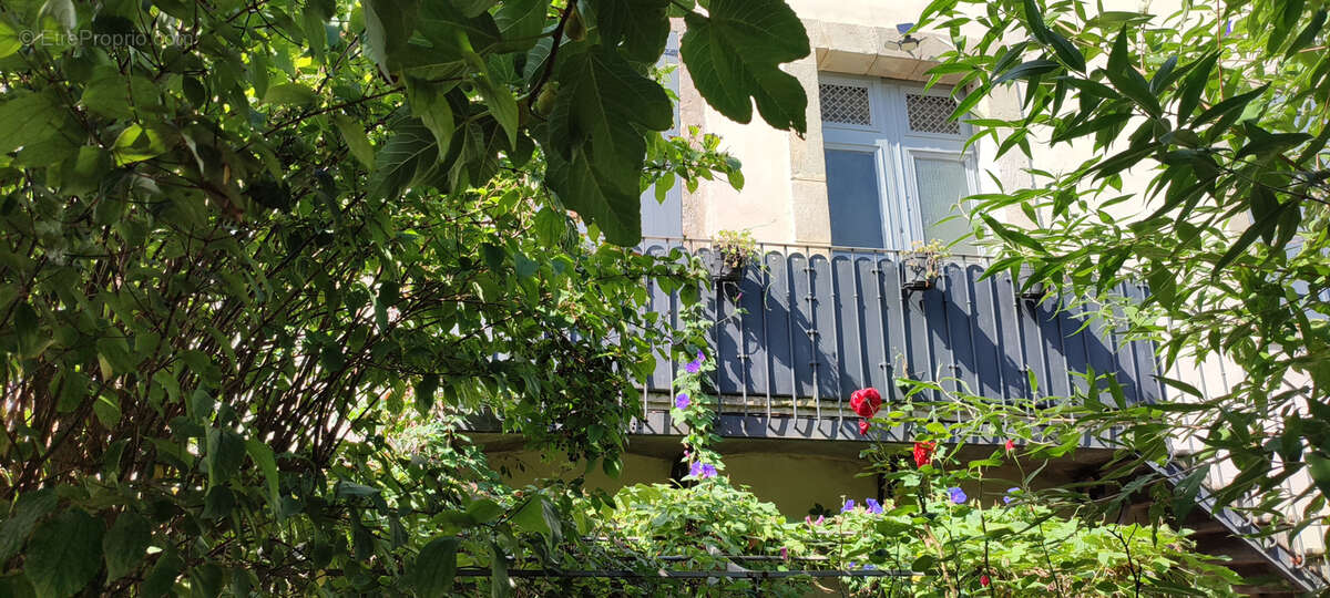 Maison à NARBONNE