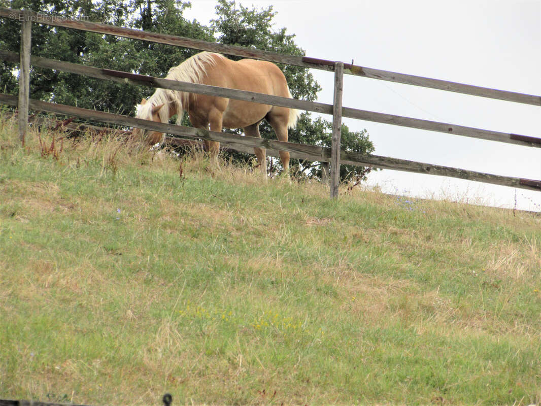Maison à SAINTE-COLOMBE-DE-VILLENEUVE