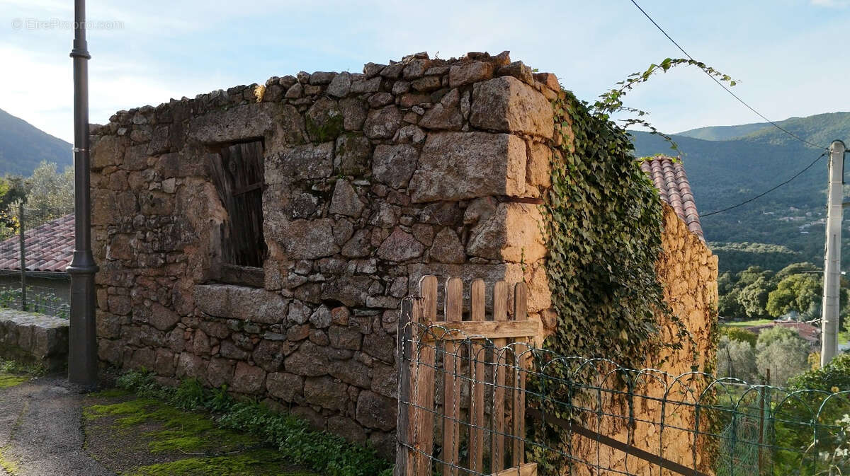 Appartement à MURZO