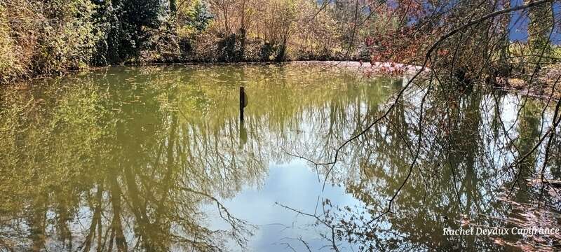 A vendre terrain de loisir a pance (35) - photo 5