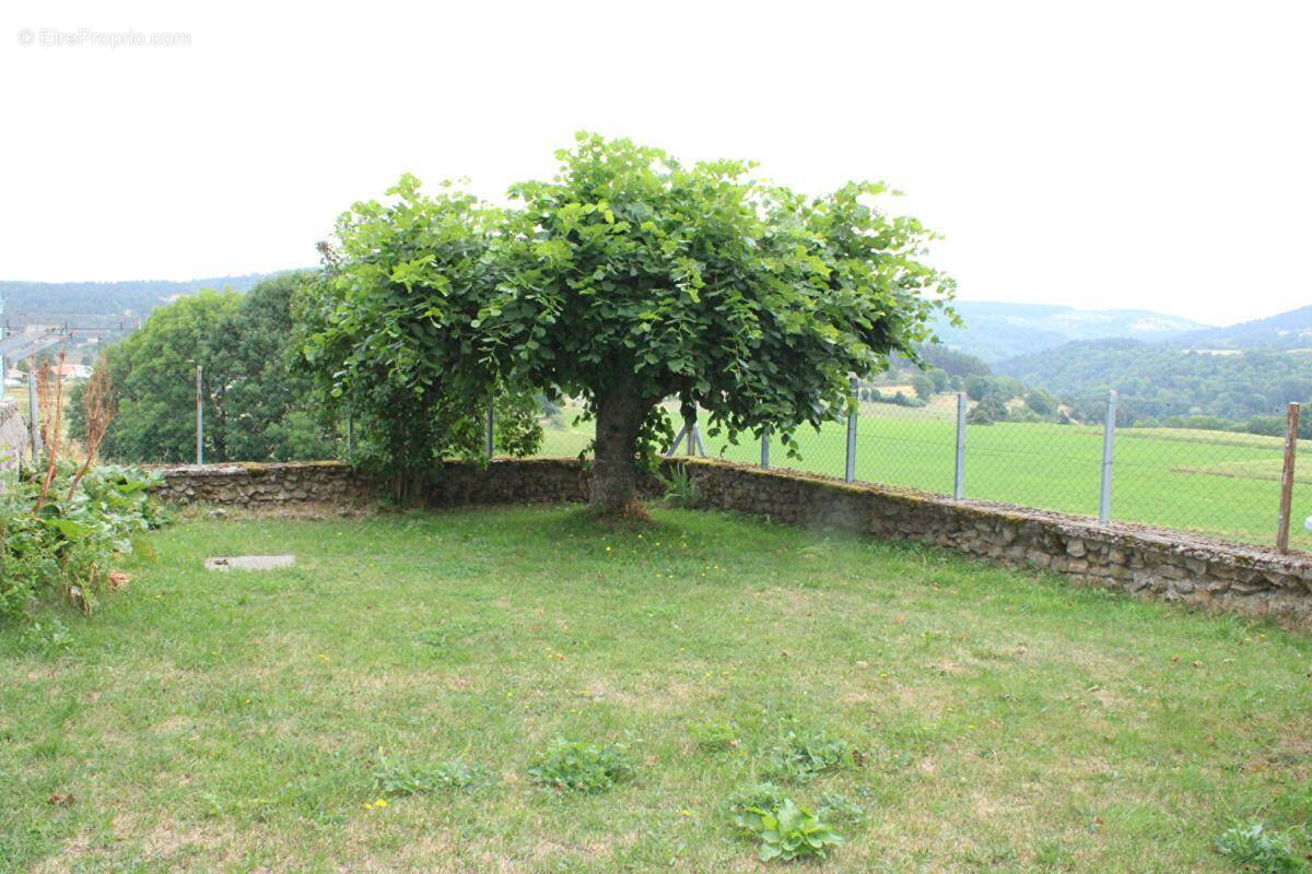 Maison à LESPERON